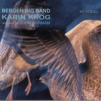 Seagull by Karin Krog