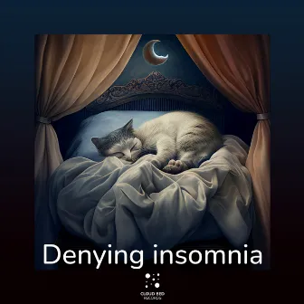 Denying insomnia by Peaceful Paradise