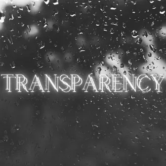 Transparency by Donovan S Davis