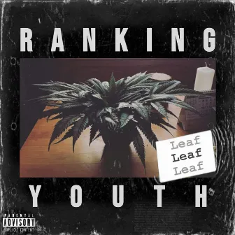 Leaf by Ranking Youth