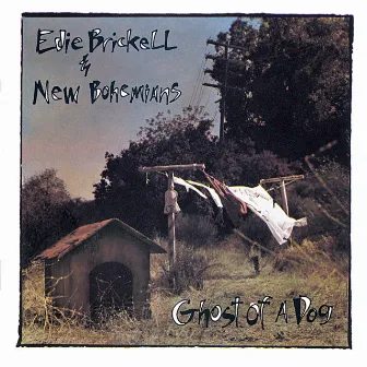 Ghost Of A Dog by Edie Brickell & New Bohemians