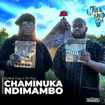 Chaminuka Ndimambo by Sylent Nqo