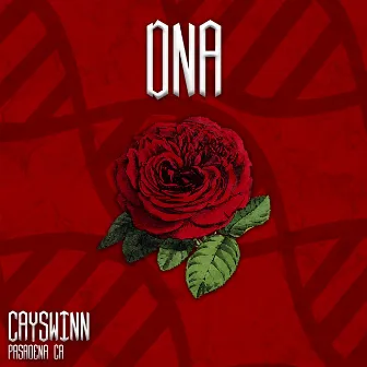 DNA by Cayswinn