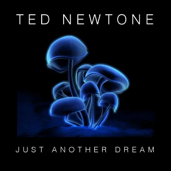 Just Another Dream by Ted Newtone