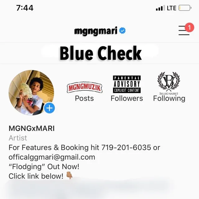 Blue Check