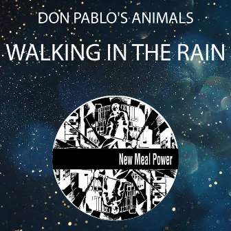 Walking In The Rain by Don Pablo's Animals