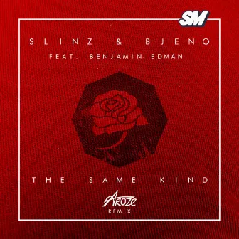 The Same Kind (feat. Benjamin Edman) [Aroze Remix] by Slinz