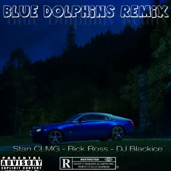 Blue Dolphins Remix by Stan CLMG