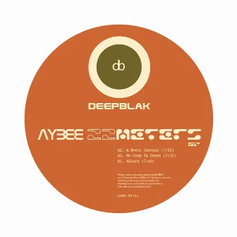 22 Meters EP by Aybee