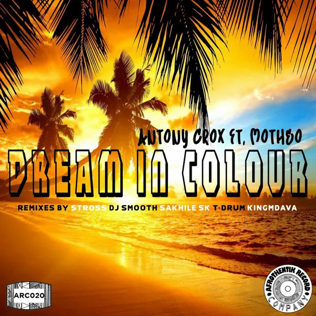 Dream In Colour - T-Drum Experimental Vocal Mix