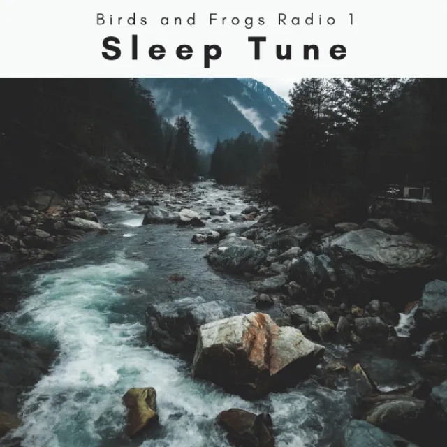 Pure Islands of Nature Noises for Instant Sleep pt. 6