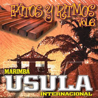 Exitos y Ritmos Vol. 6 by Marimba Usula Internacional