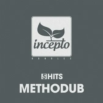 5 Hits: Methodub by Methodub