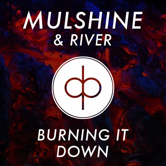 Burning It Down - Radio Edit