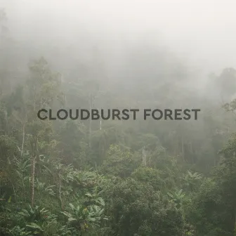 Cloudburst Forest Rain by Cloudburst Forest