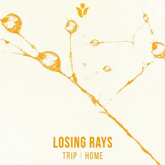 Trip \ Home by Losing Rays