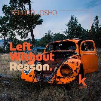 Left Without Reason by Yekuro Losho