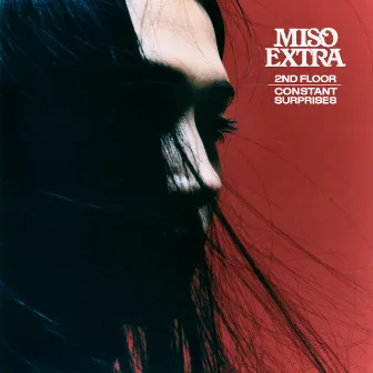 2nd Floor / Constant Surprises by Miso Extra