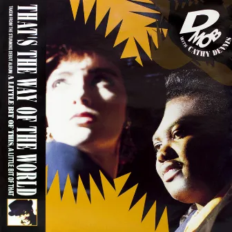 That's The Way of The World (with Cathy Dennis) by D Mob