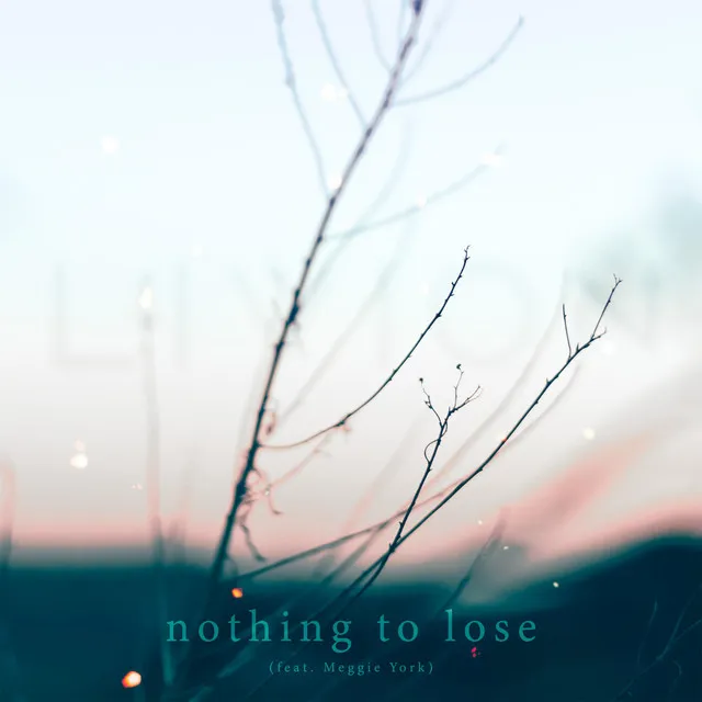 Nothing To Lose