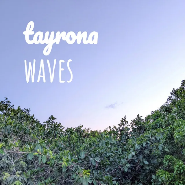 tayrona waves