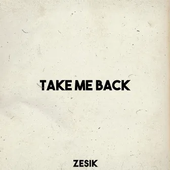 Take Me Back by Zesik