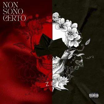 Non sono certo by Ziel