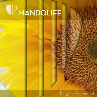 Mandolife by Magnus Zetterlund