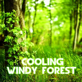 Cooling Windy Forest by Nature Sound