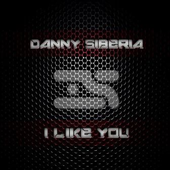 I like You by Danny Siberia