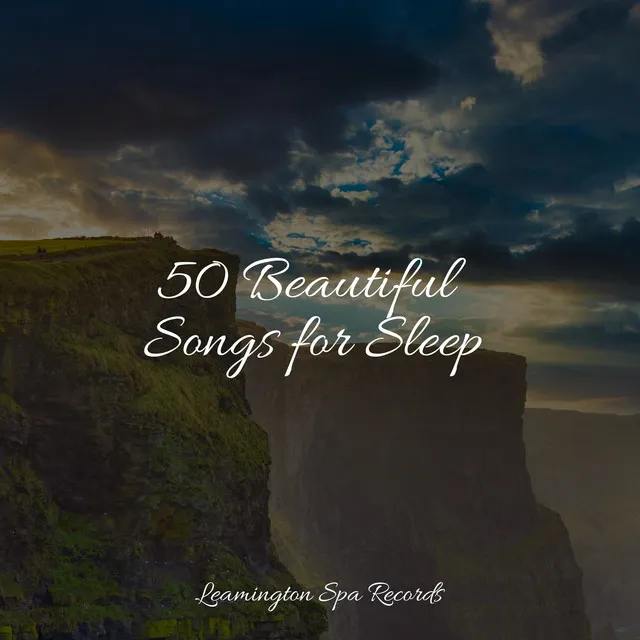 50 Beautiful Songs for Sleep