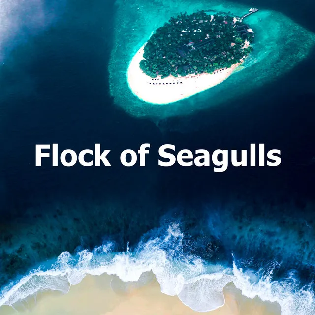 Flock of Seagulls