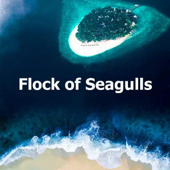 Flock of Seagulls by ASMR Ocean Sounds