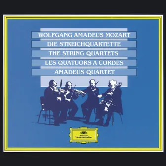 Mozart: The String Quartets by Amadeus Quartet