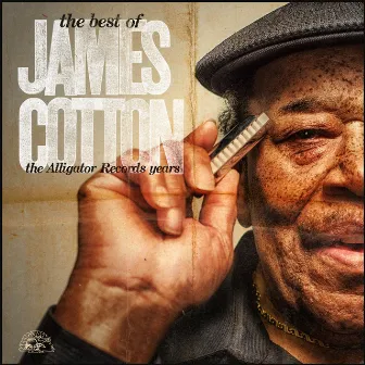 The Best Of James Cotton - The Alligator Records Years by James Cotton