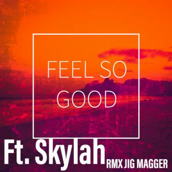 Feel So Good (Remix) by Jig Magger