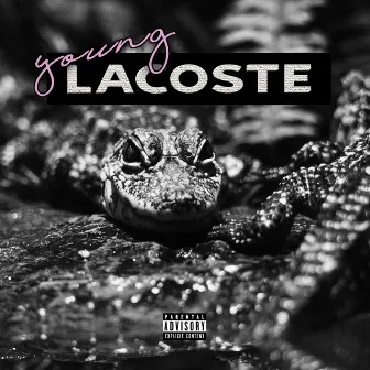 Young Lacoste by Weahstyle