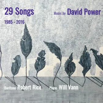 29 Songs -1985 - 2016: Music by David Power by Robert Rice