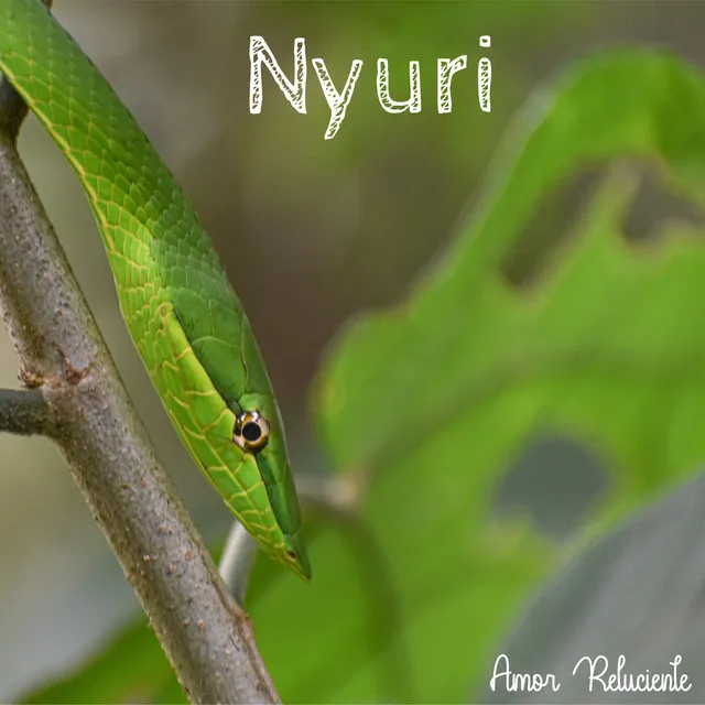 Nyuri