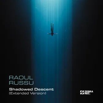 Shadowed Descent (Extended Version) by Raoul Russu