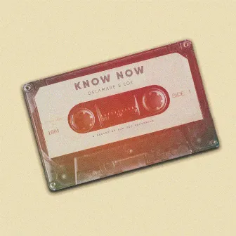 Know Now by Delamare