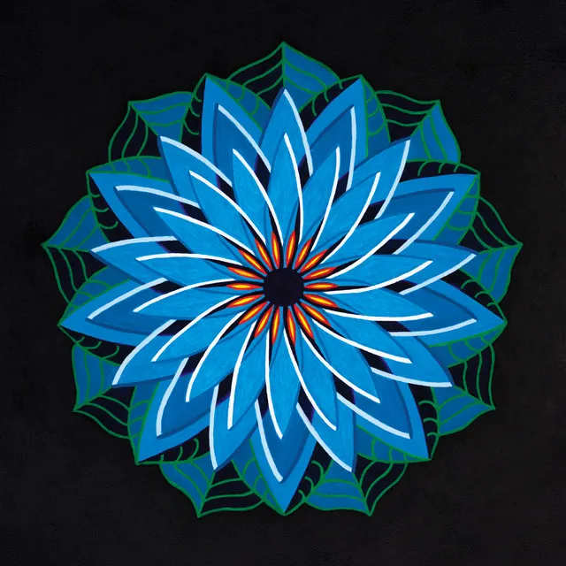 Blue Lotus