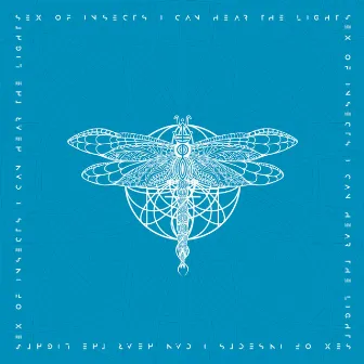 I Can Hear The Light by Sex Of Insects