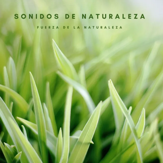 Sonidos De Naturaleza: Fuerza De La Naturaleza