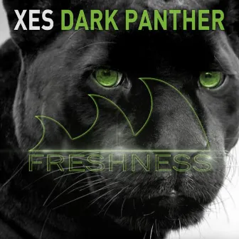 Dark Panther by Xes