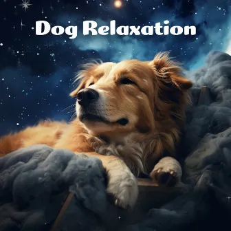 Dog Relaxation by James Daniel