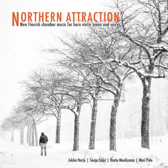 Northern Attraction by Jukka Harju