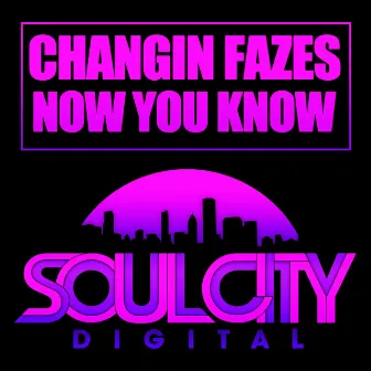 Now You Know (UK Garage Mixes) by Changin Fazes