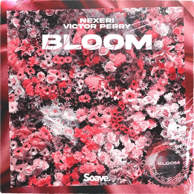 Bloom