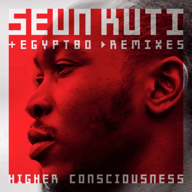 Higher Consciouness (remixes)